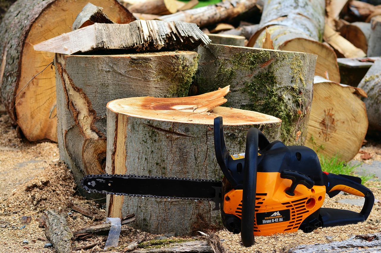 Drink Trees Cuts Chain Saw Nature - rauschenberger / Pixabay