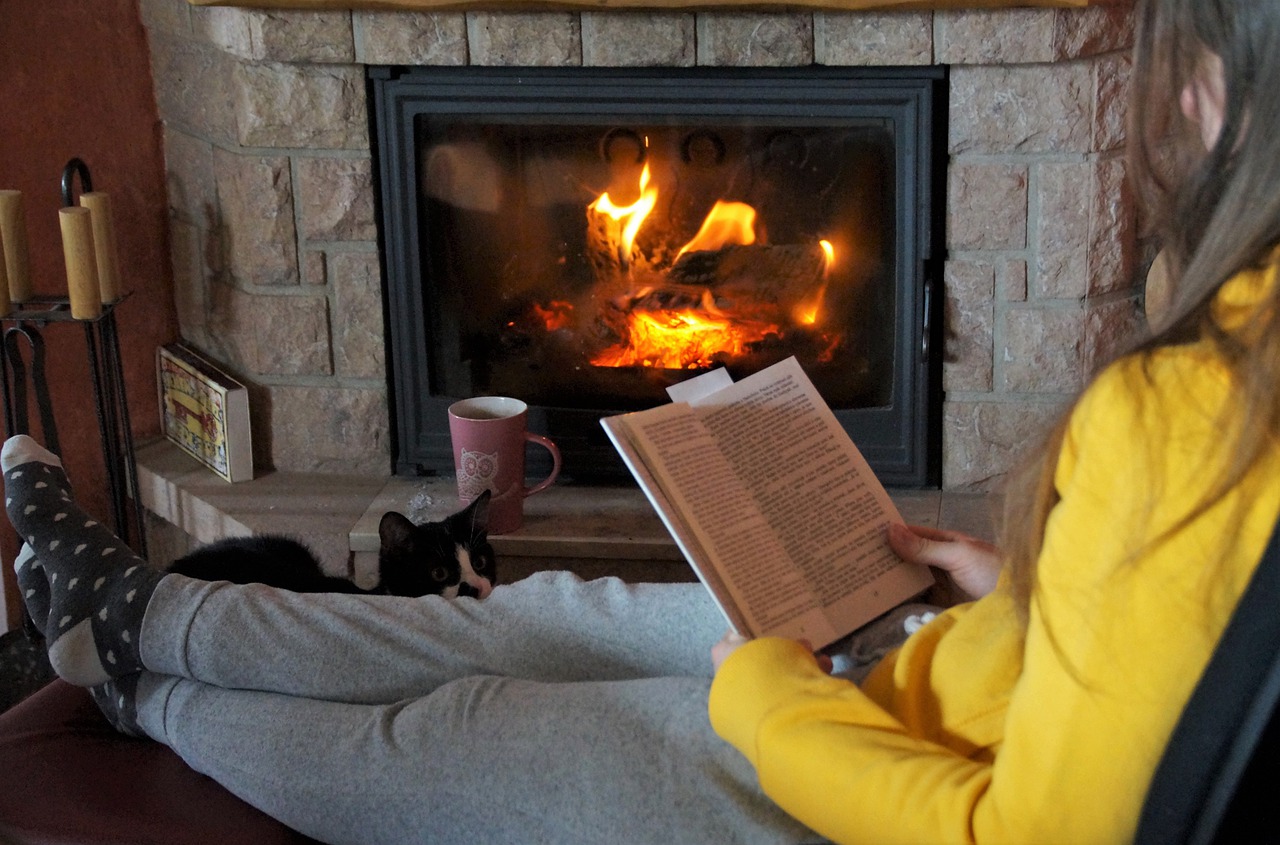 Fireplace Fire Read Book Flames - ivabalk / Pixabay