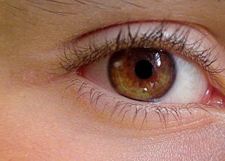 Eye Human Eye Anatomy  - uroburos / Pixabay