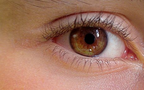 Eye Human Eye Anatomy  - uroburos / Pixabay