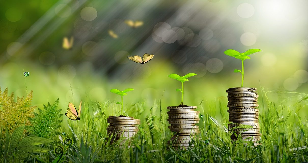 Money Plants Growth Coins Finance  - Orlandow / Pixabay