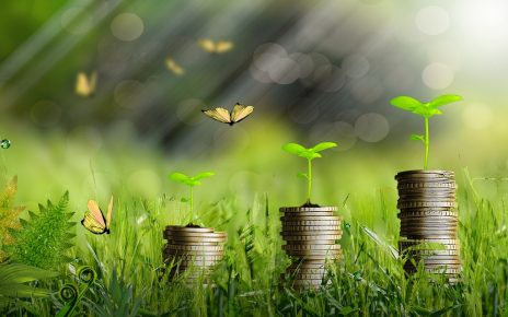 Money Plants Growth Coins Finance  - Orlandow / Pixabay