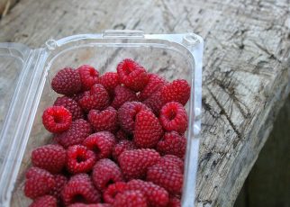 raspberries, harvest, nature