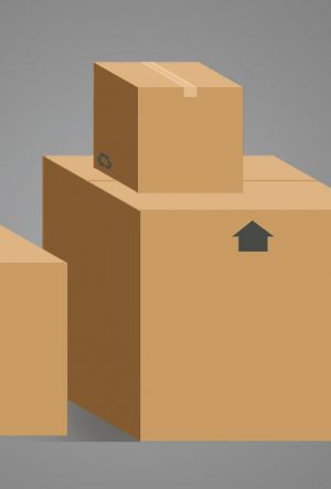box, cardboard, carton